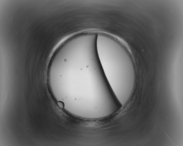 X0000085281279200703090929
