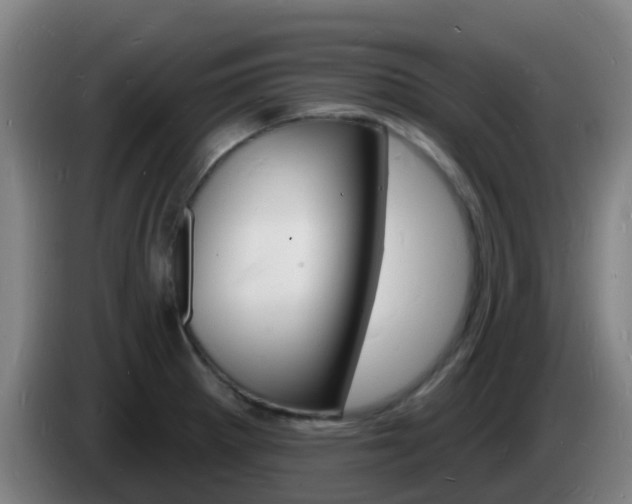 X0000085281281200703090929
