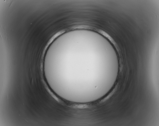 X0000085281282200703090929