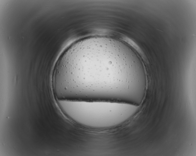X0000085281283200703090929