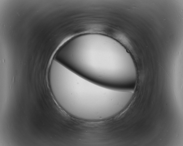 X0000085281284200703090928