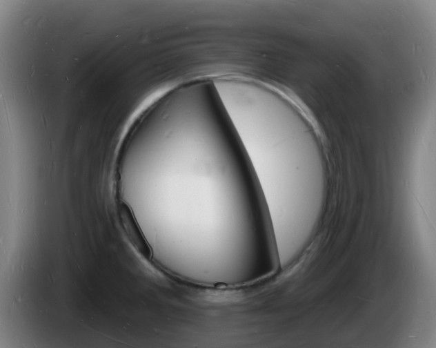 X0000085281285200703090928