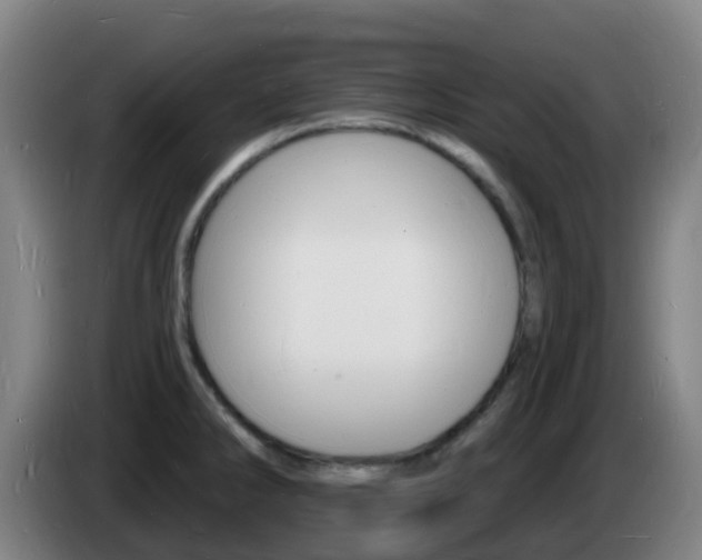 X0000085281286200703090928