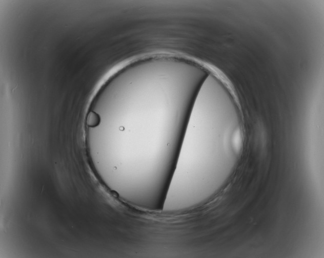 X0000085281287200703090928