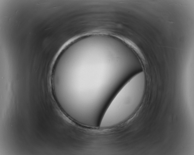 X0000085281288200703090928