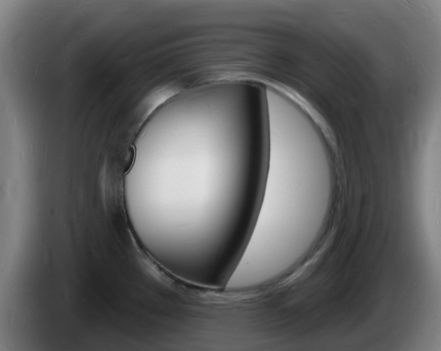 X0000085281289200703090928