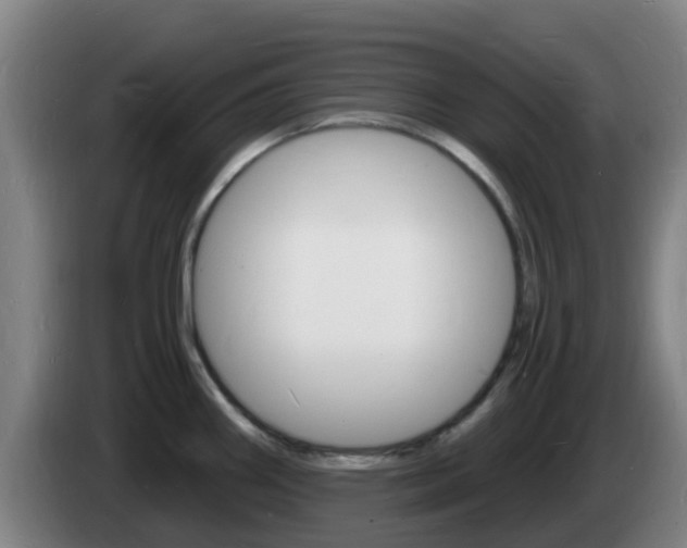 X0000085281290200703090928