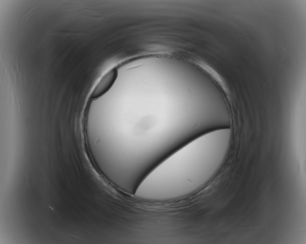X0000085281291200703090928