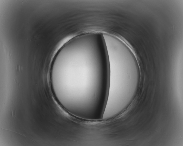 X0000085281293200703090928