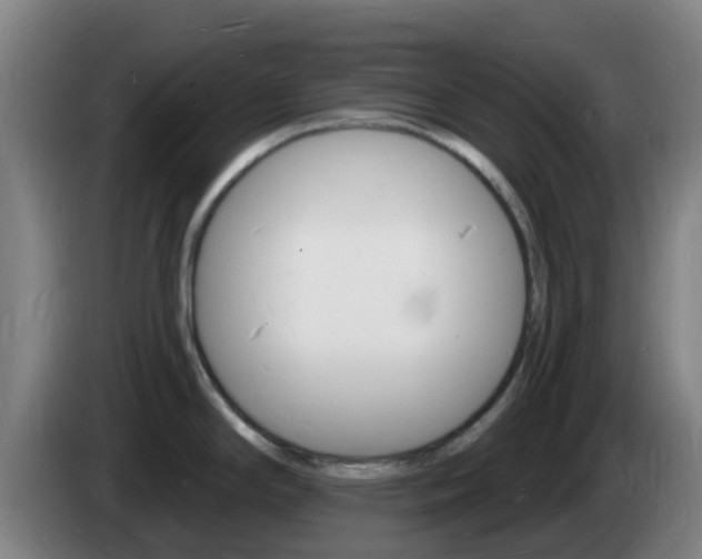 X0000085281294200703090928