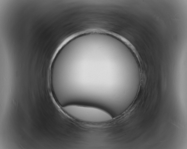 X0000085281295200703090928