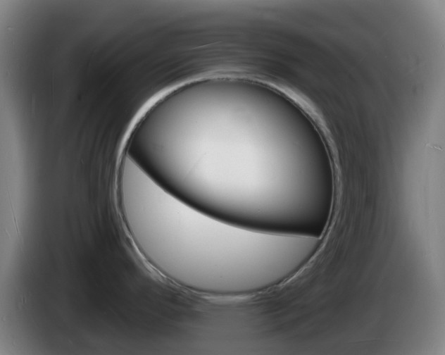 X0000085281296200703090928