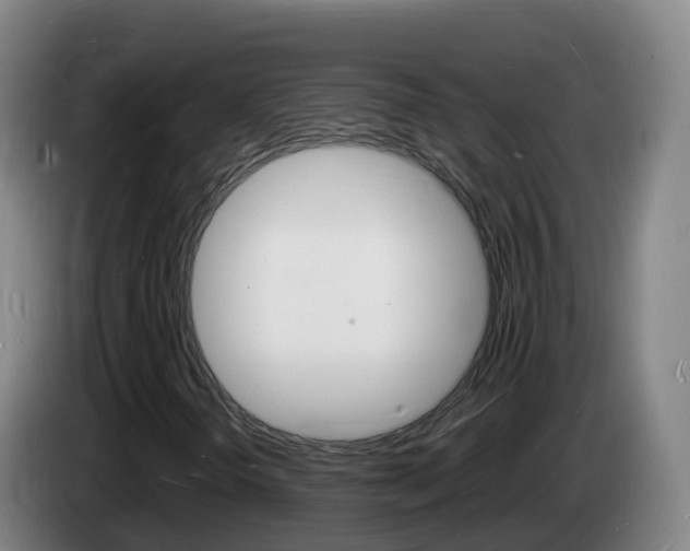 X0000085281298200703090928
