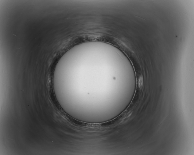 X0000085281299200703090928