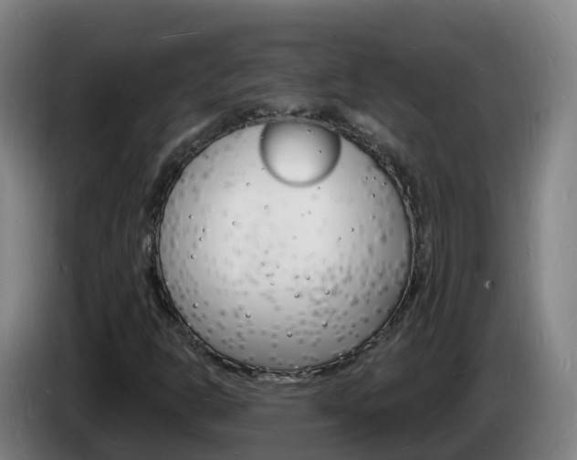 X0000085281302200703090928