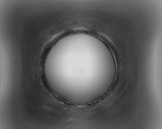 X0000085281303200703090928
