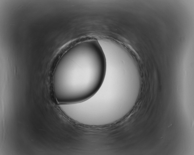 X0000085281304200703090928