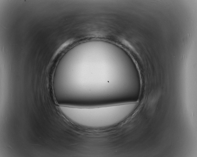 X0000085281307200703090928