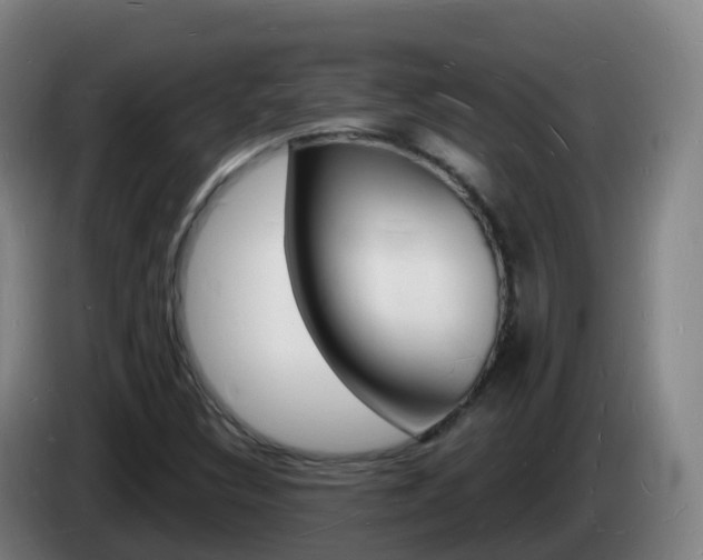 X0000085281308200703090928