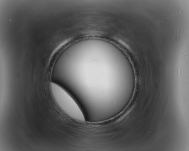X0000085281309200703090928