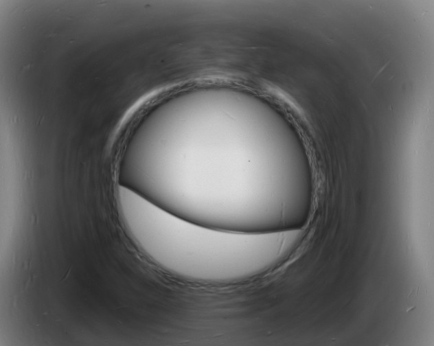 X0000085281310200703090928
