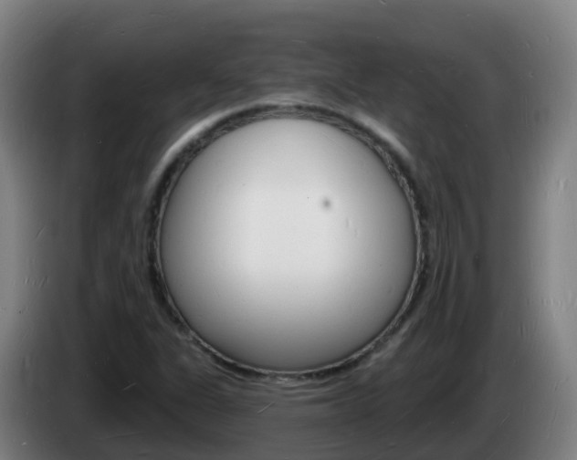 X0000085281311200703090928