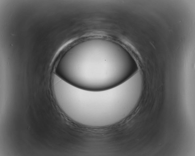 X0000085281312200703090928