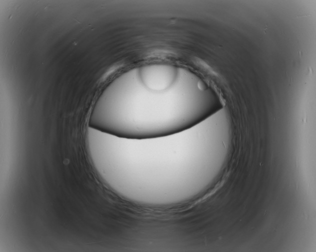 X0000085281313200703090928