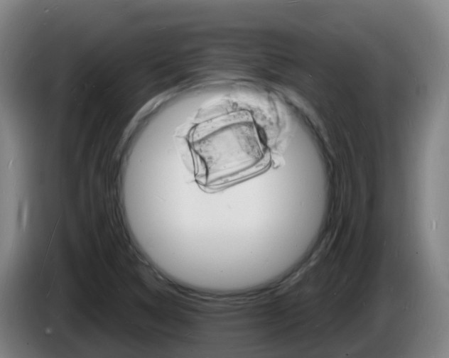 X0000085281314200703090928