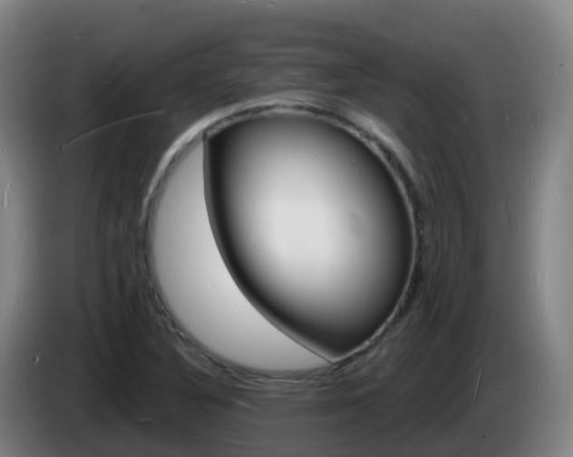 X0000085281316200703090928