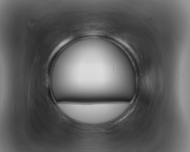 X0000085281317200703090928