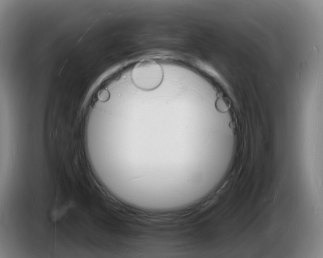 X0000085281318200703090928