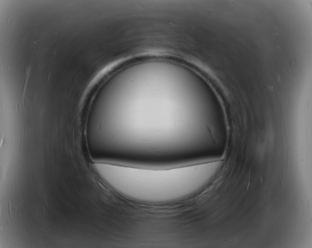 X0000085281319200703090928