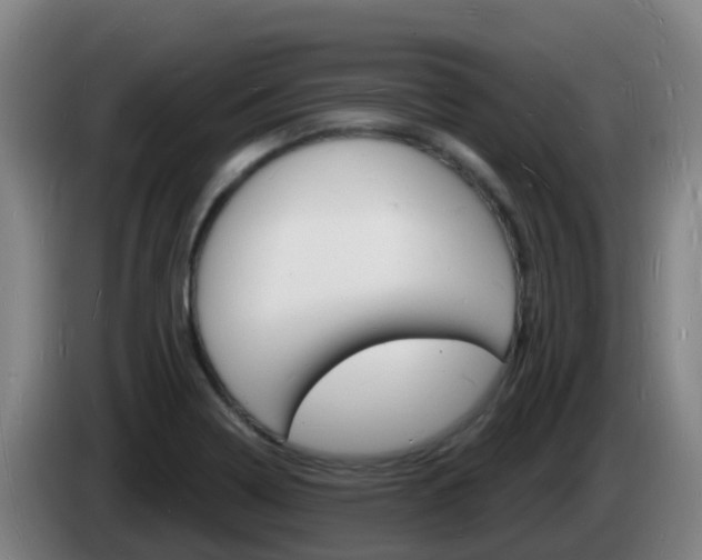 X0000085281322200703090928