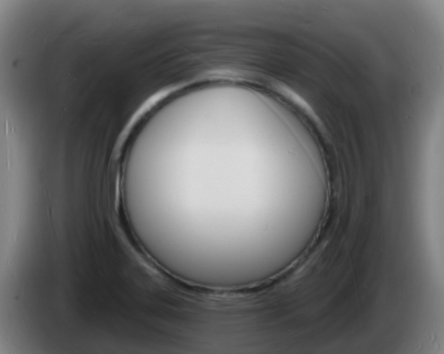 X0000085281323200703090928