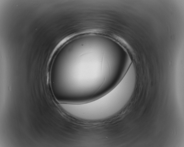 X0000085281324200703090928