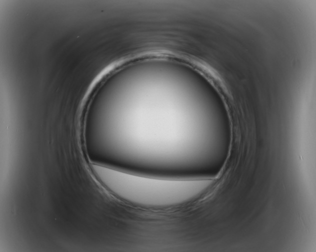 X0000085281326200703090928