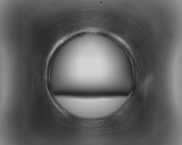 X0000085281327200703090928