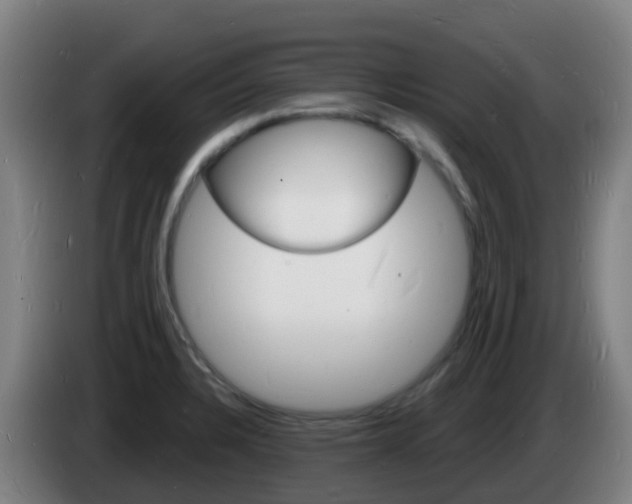 X0000085281328200703090928