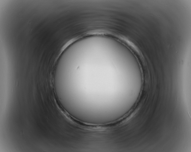 X0000085281329200703090928