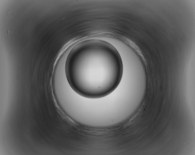 X0000085281330200703090928