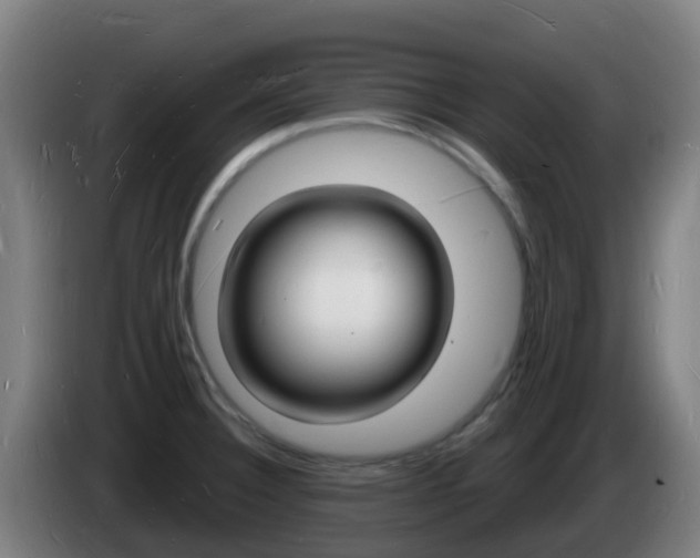 X0000085281332200703090928