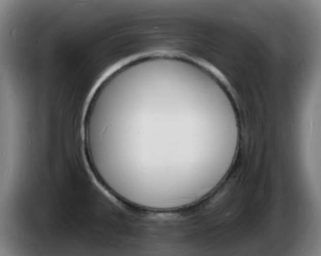 X0000085281335200703090928