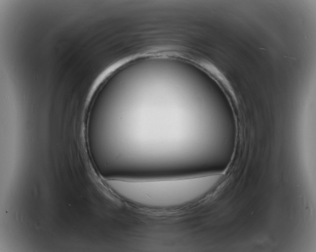 X0000085281336200703090928