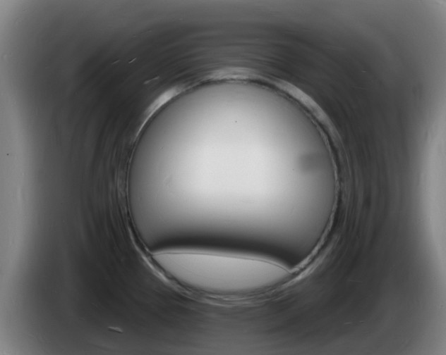 X0000085281337200703090928