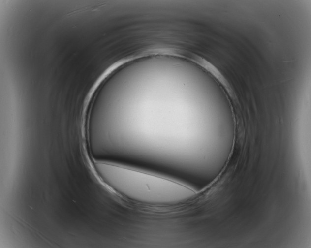 X0000085281339200703090928