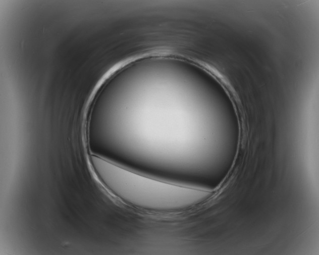 X0000085281342200703090928