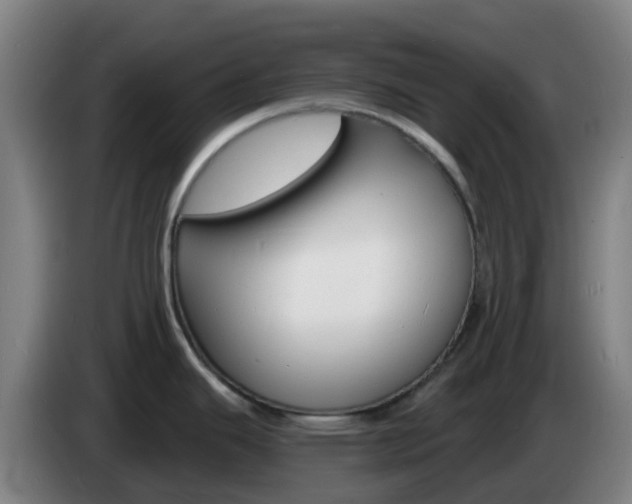 X0000085281343200703090928