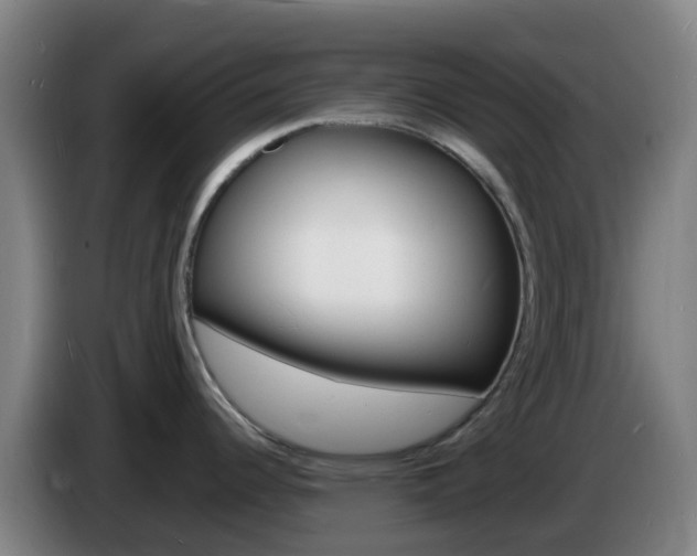 X0000085281344200703090928