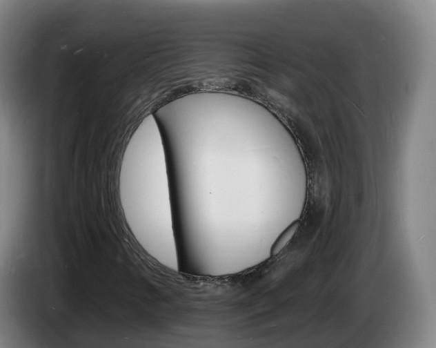 X0000085281346200703090928